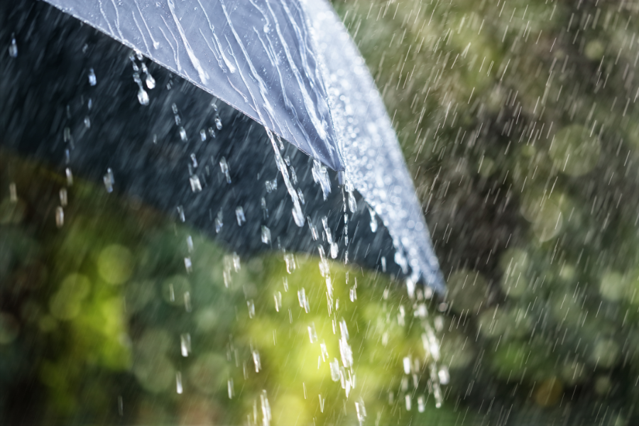 Précipitations pluie cherbourg hiver 2018